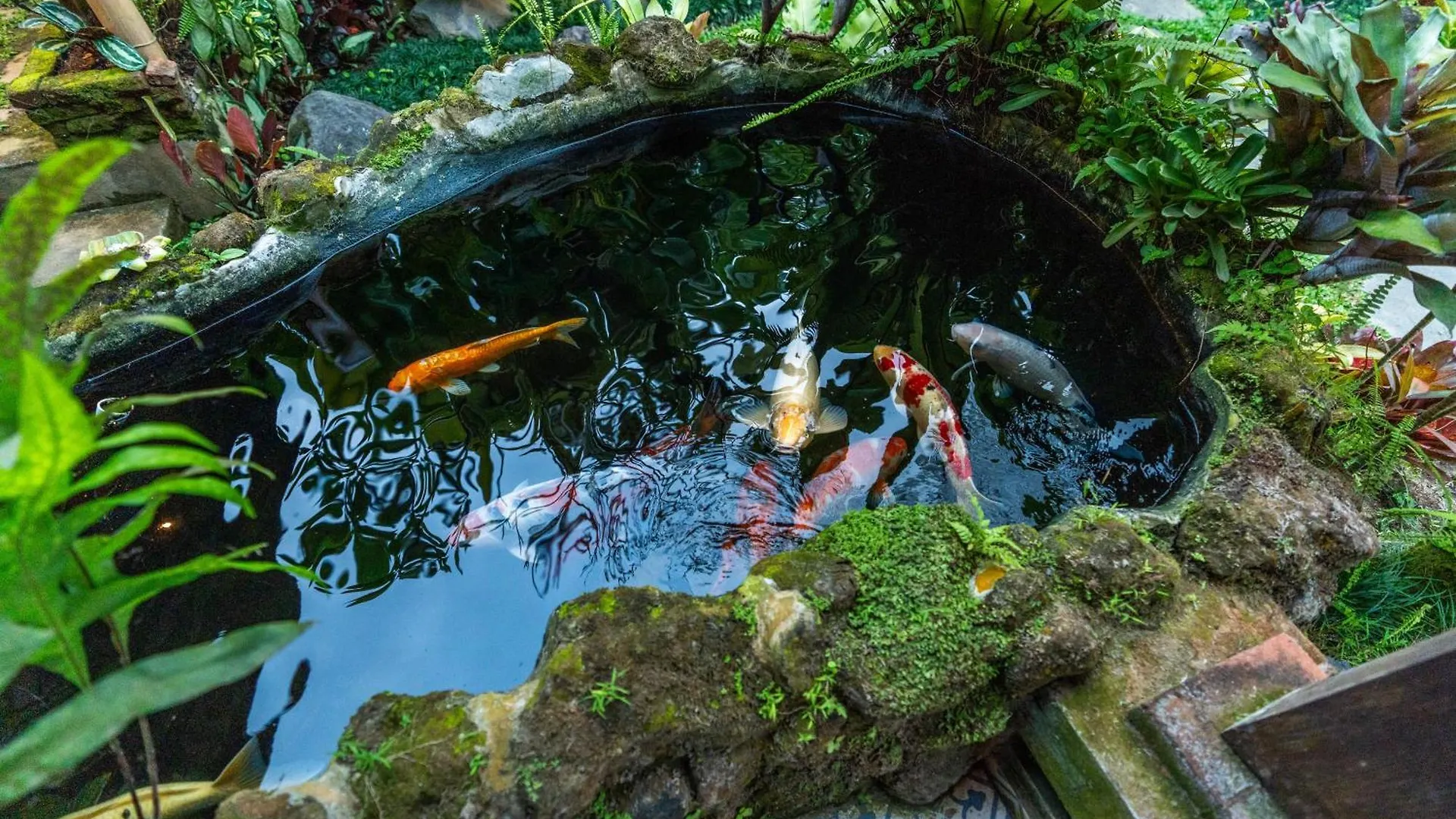 Villa Pranawa Ubud